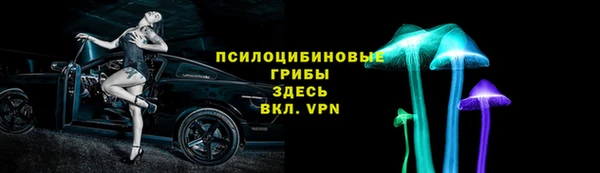 таблы Ельня