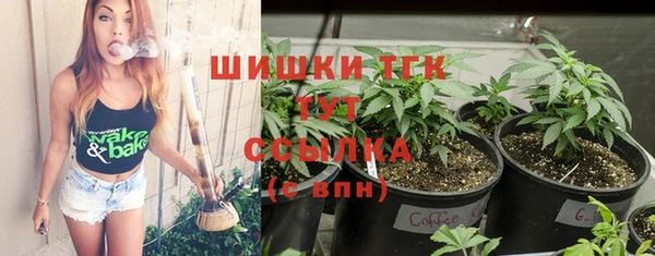 таблы Ельня