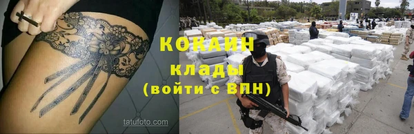 таблы Ельня