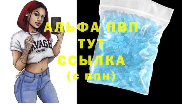 таблы Ельня