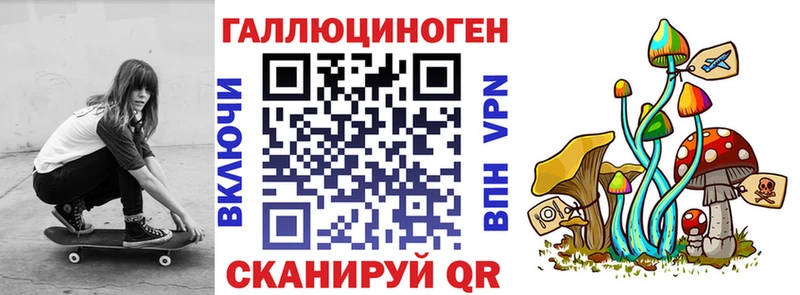 Псилоцибиновые грибы GOLDEN TEACHER Каменск-Шахтинский